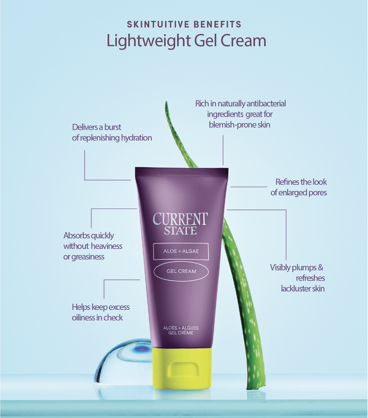 Aloe + Algae Lightweight Gel Cream – Current State Aloe + Algae Lightweight Gel Cream – Current State
