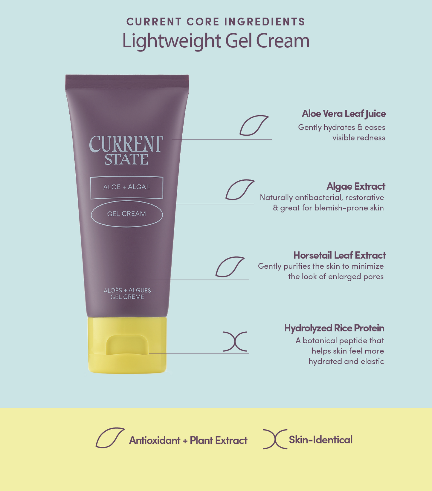succulent gel cream Current State Aloe Algae Lightweight Gel Cream 60ml